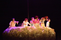 Le Nid 43 * 5616 x 3744 * (11.33MB)